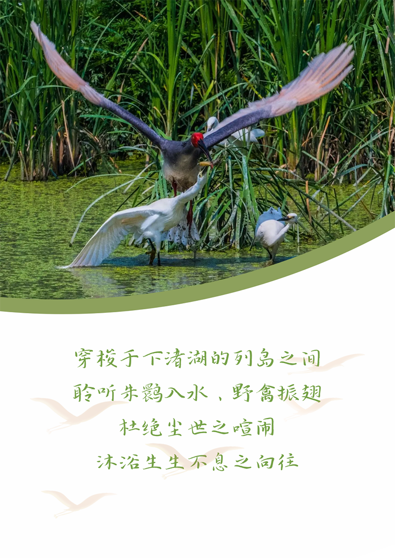 心心念廿 相伴利澳平台注册开户 | 与德清相约 贺廿载诞辰